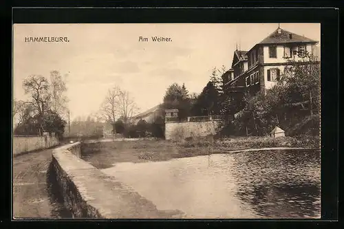 AK Hammelburg, Ortspartie am Weiher