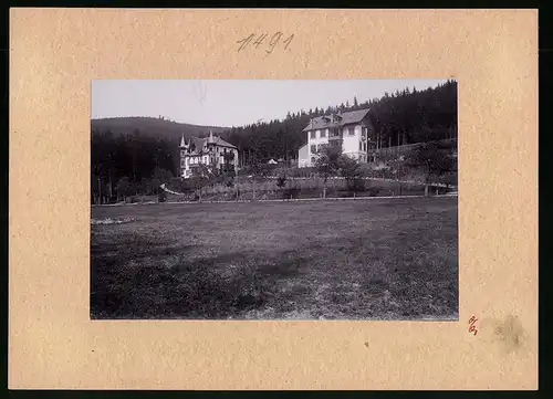 Fotografie Brück & Sohn Meissen, Ansicht Bärenburg i. Erzg., Blick auf die Villa Bergfried und Villa M. C. M.