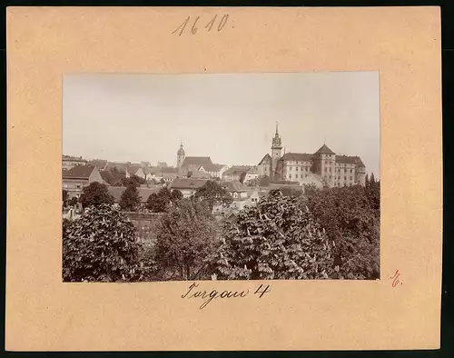 Fotografie Brück & Sohn Meissen, Ansicht Torgau / Elbe, Blick auf die Stadt von der Bastion I. gesehen