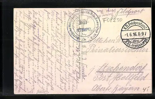 AK Senuc, Vue Générale