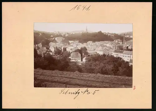 Fotografie Brück & Sohn Meissen, Ansicht Sebnitz, Blick in den Ort mit Wohnhäusern