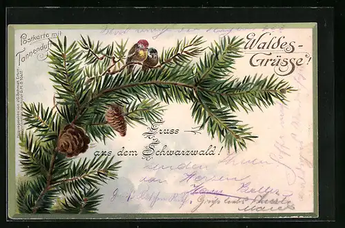 Duft-AK Waldesgrüsse, Tannenzweige mit Duft