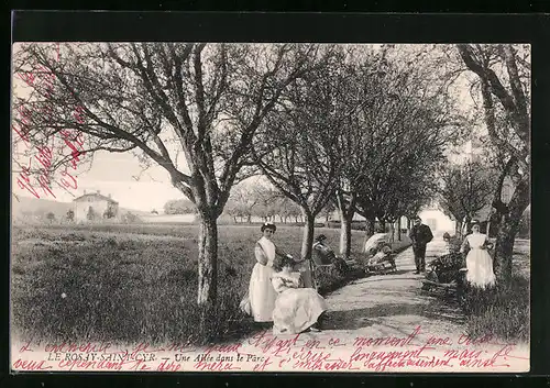 AK Le Rosay-Saint-Cyr, Une Allée dans le Parc