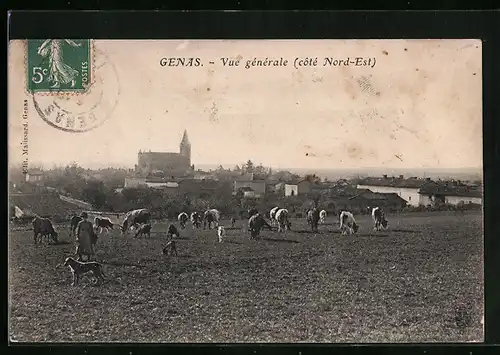 AK Genas, Vue générale