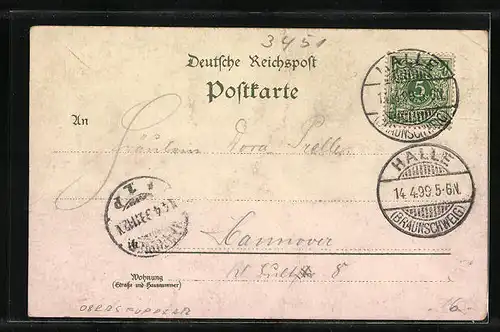 Lithographie Halle i. Braunschweig, Gasthof G. Brand, Kaiserliches Postamt, Teilansicht