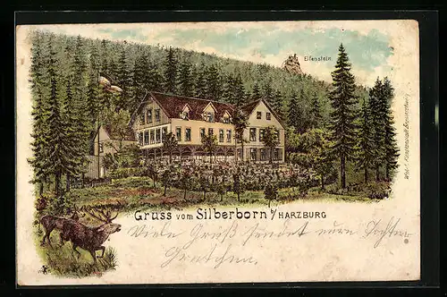 Lithographie Harzburg, Gasthaus Silberborn mit Elfenstein