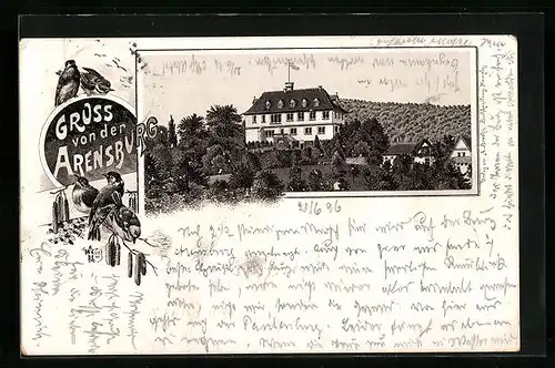Lithographie Rinteln, Schloss Arensburg aus der Ferne