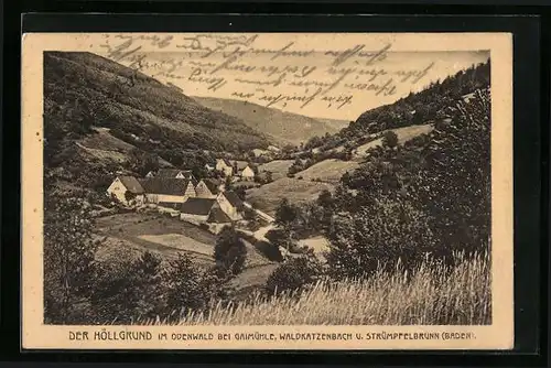 AK Waldbrunn, Blick in den Höllgrund im Odenwald