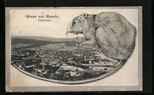 AK Hameln, Panorama mit Ratte