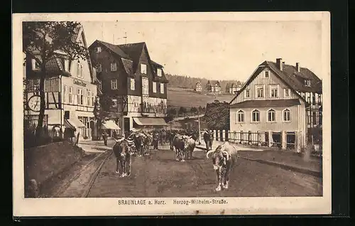 AK Braunlage a. Harz, Herzog-Wilhelm-Strasse mit Konditorei und Rindern