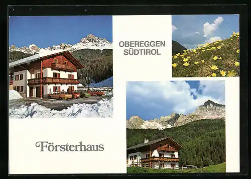 AK Obereggen, Försterhaus in zwei Ansichten mit blühender Wiese