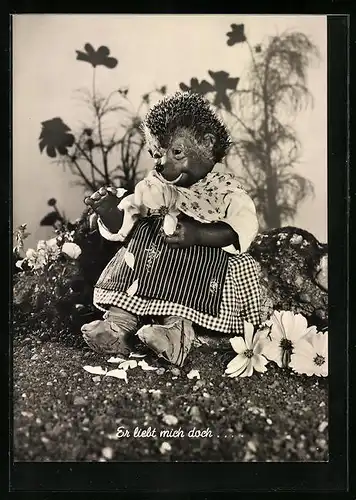 AK Erliebt mich doch...., Mecki-Fräulein beim Blütenzupfen