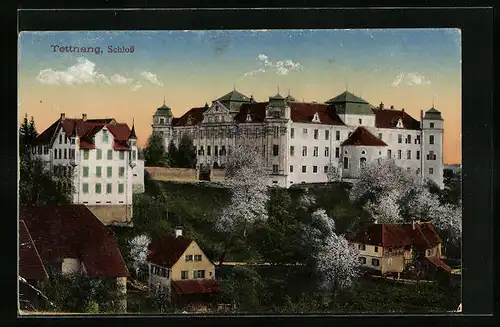 AK Tettnang, Schloss aus der Vogelschau