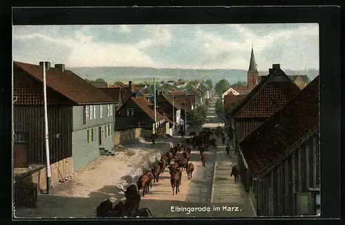 AK Elbingerode im Harz, Strassenpartie mit Rinderherde