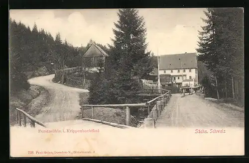 AK Krippen, Forstmühle im Krippenbachthal