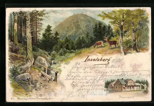Lithographie Inselsberg, Wald mit Rehen und Heuberghaus