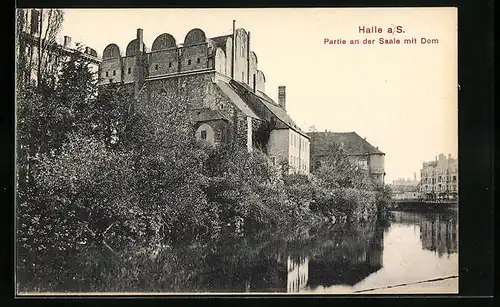 AK Halle a. d. Saale, Partie an der Saale mit Dom