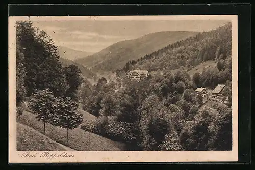 AK Bad Rippoldsau, Gesamtansicht aus der Vogelschau