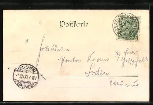 AK Donaueschingen, Donauquelle