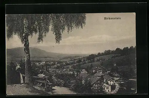 AK Birkenstein, Totalansicht aus der Vogelschau