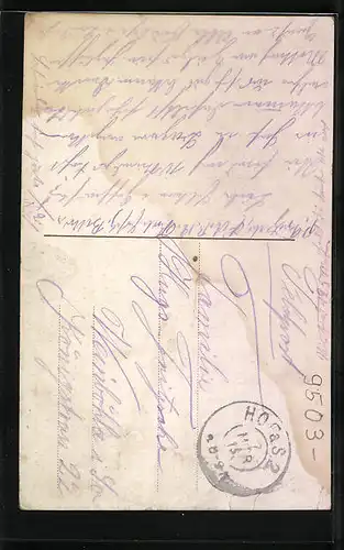 AK Hof i. B., Ortsansicht, Blick nach dem Labyrinth, Partie an der Michaeliskirche