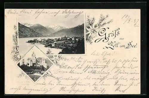 AK Zell am See, Teilansicht, Schloss