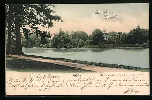 AK Kassel, Auebassin