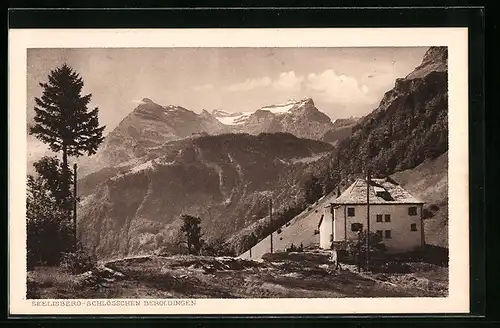 AK Seelisberg, Alpenblick vom Schlösschen Beroldingen gesehen