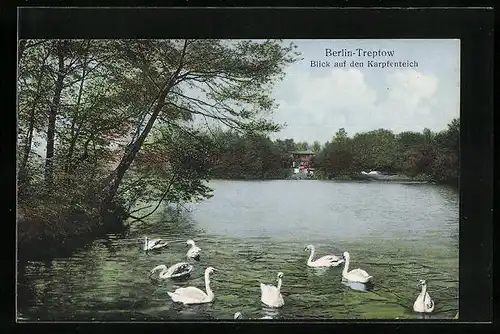AK Berlin-Treptow, Blick auf den Karpfenteich