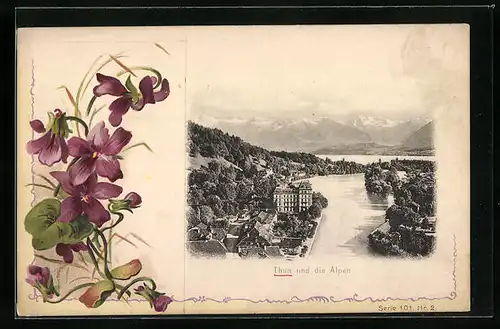 AK Thun, Uferpartie und die Alpen, Blumen