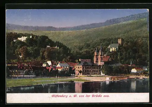 AK Miltenberg a. M., Panorama von der Brücke aus mit der Kirche
