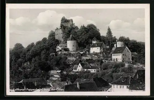 AK Pappenheim, Blick auf die Burg von Osten