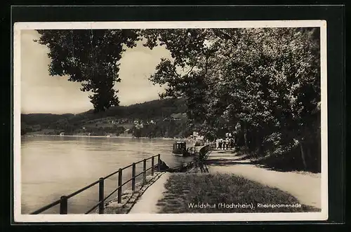 AK Waldshut am Hochrhein, auf der Rheinpromenade