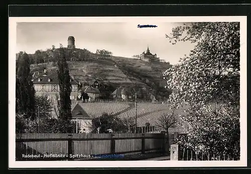 AK Radebeul i. Sa., Hoflössnitz, Blick auf das Spitzhaus