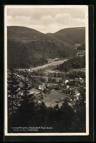 AK Sitzendorf i. Thür., Blick in das Sorbitztal