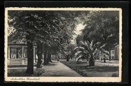 AK Aschersleben, Parkpartie Herrenbreite