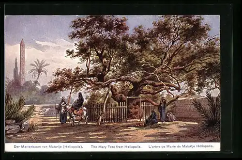 Künstler-AK Friedrich Perlberg: l'Arbre de Marie de Mataije Héliopolis