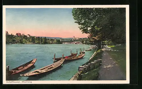 AK Schaffhausen, Partie am Rheinweg