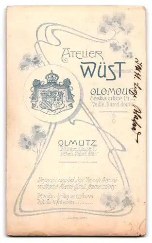 Fotografie Atelier Wüst, Olmütz, Böhmengasse 15, Heranwachsender mit lang gezogenem Gesicht