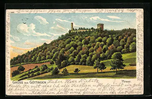 Lithographie Göttingen, Plesse