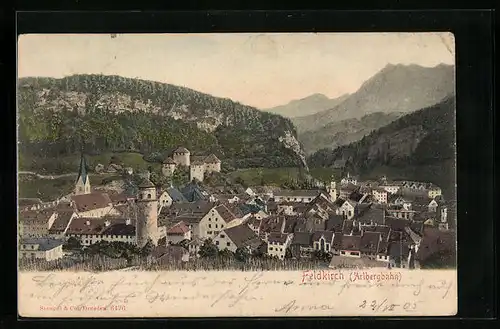AK Feldkrich /Arlbergbahn, Teilansicht