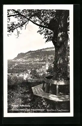 AK Wolfurt, Ortsansicht mit Gebhardsberg und Känzelewand