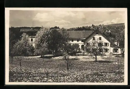 AK Diezlings b. Hörbranz, Ortsansicht mit Gasthaus