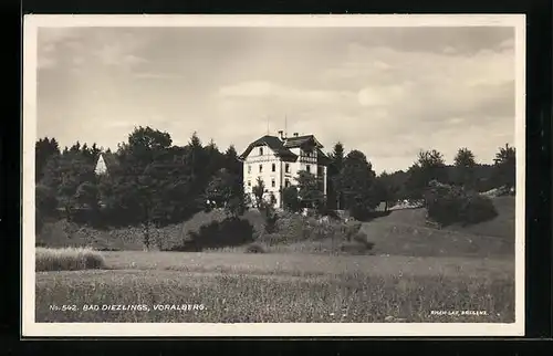 AK Bad Diezlings, Villa im Grünen