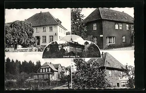 AK Iburg /Teutoburger Wald, Gasthaus zum Freden, Schloss, Pension Waldfrieden