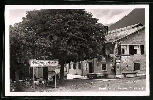 AK Bürserberg, Gasthaus zur Gemse von der Strasse gesehen