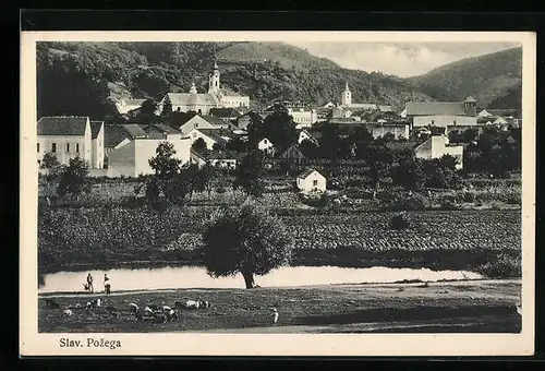 AK Slav. Pozega, Totalansicht