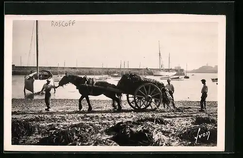 AK Roscoff, Enlèvement du Varech