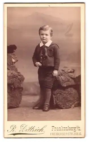 Fotografie R. Dittrich, Frankenberg, Freibergerstr. 206, ein kleiner Junge posiert vor inszenierter Landschaft