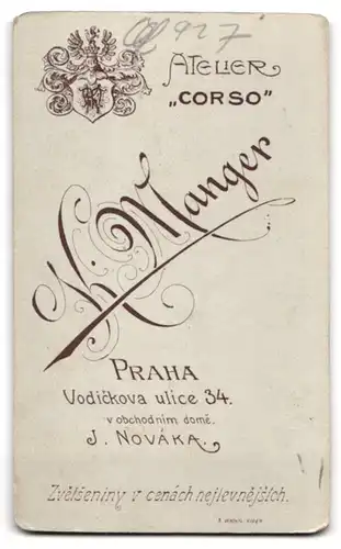 Fotografie K. Manger, Prag, Vodickova ul. 34, ein junger Herr aus der Oberschicht, mit Fliege